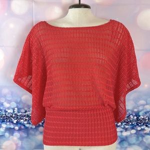 Brink Pink Ladies See Through Top.